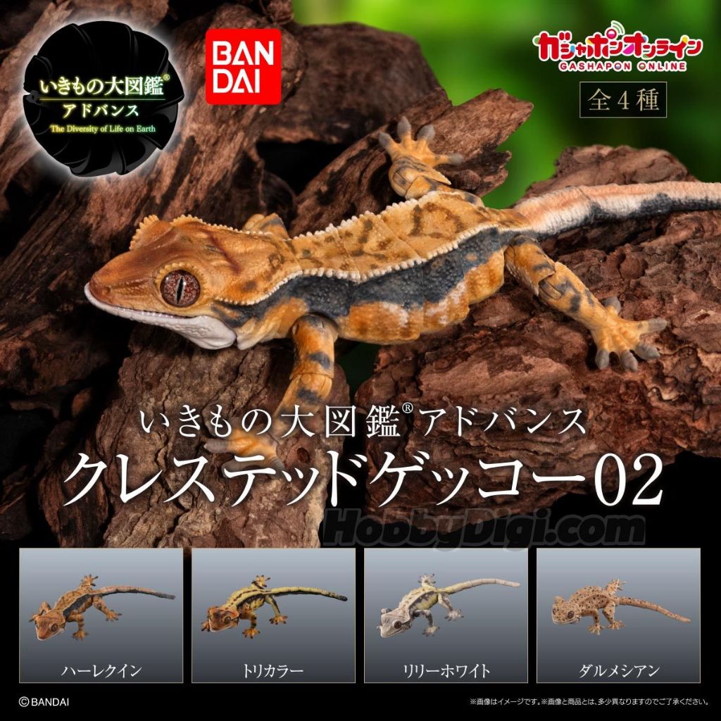 [Chính hãng] Gashapon/ Capsule toy Premium Bandai - Tắc kè mào Crested Gecko Vol.2