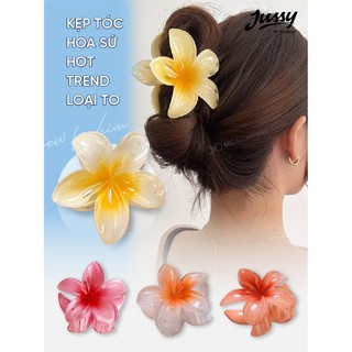 Set 19 Kẹp Tóc Mái Jussy Official Màu Hồng Đính Icon Xinh Xắn Mẩu Ngẫu Nhiên