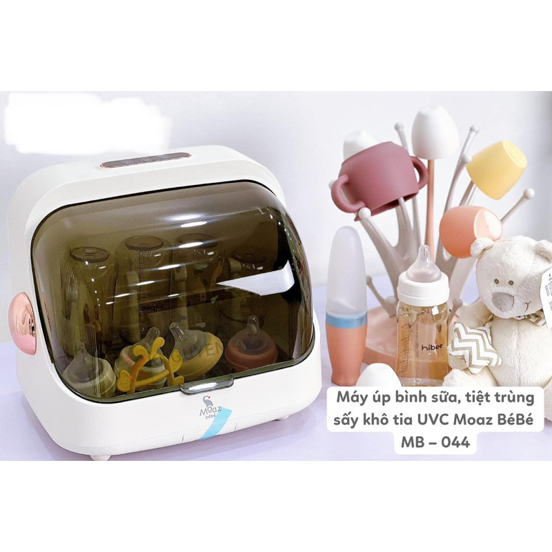 tiệt trung moaz bebe