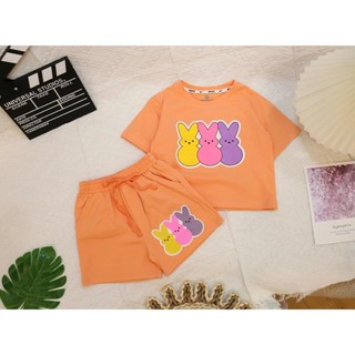 Sét bộ bé gái, đồ bộ đùi bé gái, mặc mùa hè, chất thun cotton 4 chièu mềm mịn