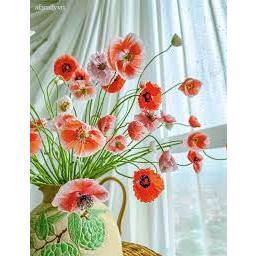 Hạt giống hoa poppy