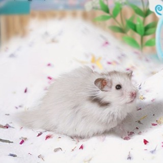 Cát tắm thơm mix hoa 1kg cho hamster