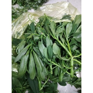 Rau sâm đất 100 g