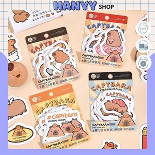 Set 30 Sticker Capybara Cắt Sẵn Size To, Cute Dùng Để Trang Trí - Hanyyshop