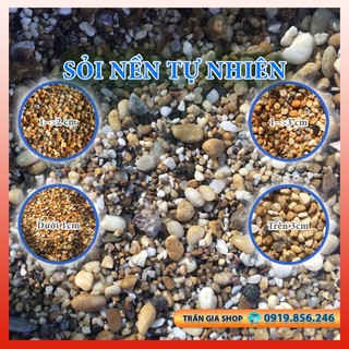 Sỏi trang trí - Sỏi nền bể cá - Sỏi nền hồ cá lóc