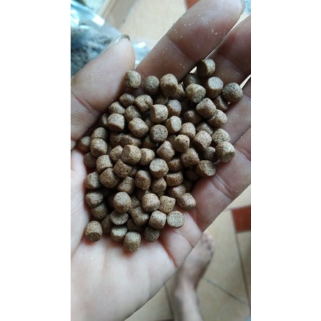 Cám siêu tăng size 35% đạm - Cho cá có vảy