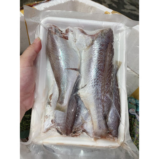 Cá Đù 1 nắng nguyên con loại to