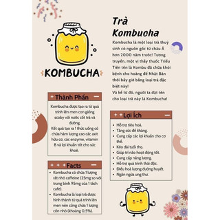 Con giống Scoby kèm nước mồi ( Làm Kombucha)