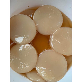 Con giống Scoby kèm nước mồi ( Làm Kombucha)