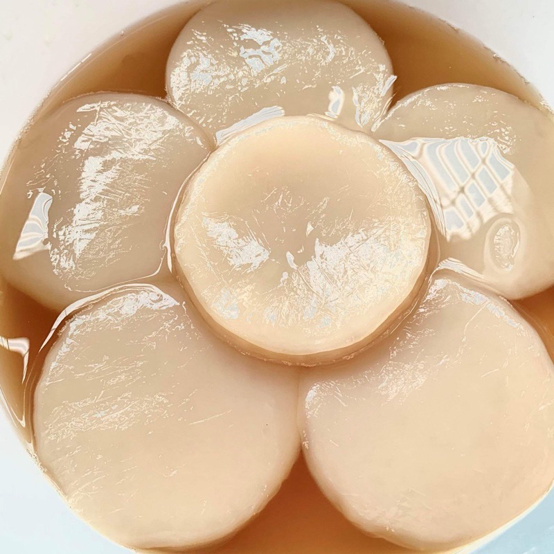 Con giống Scoby kèm nước mồi ( Làm Kombucha)