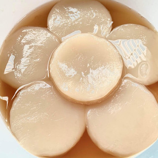 Con giống Scoby kèm nước mồi