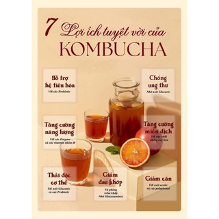 Con giống Scoby kèm nước mồi ( Làm Kombucha)