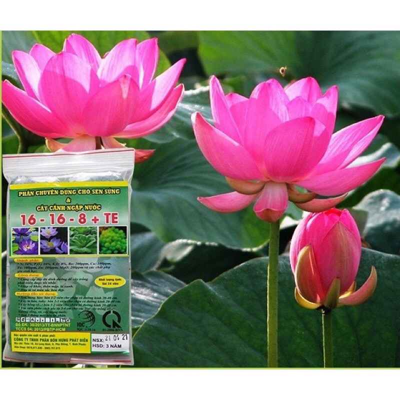 24 viên nén npk 16-16-8 TE : chuyên bón sen , súng, cây cảnh ngập nước