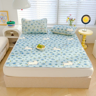 Chiếu Điều Hòa Cao Su Non, Chiếu Cao Su Non in hình tặng kèm 2 vỏ gối