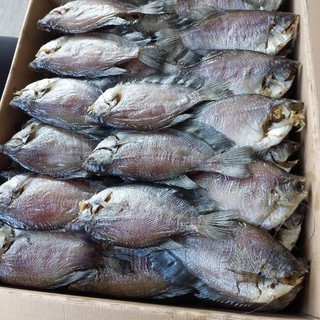 Khô cá sặc bổi lạt size 10,12con ngon phơi 4 nắng
