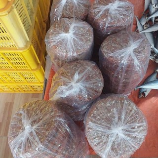 Khô cá cơm bánh tráng cá cơm thơm ngon béo giòn rụm