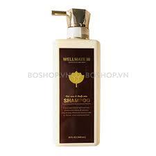 Dầu Gội Phục Hồi Tóc Hư Tổn WELLMATE Salon Hair Care 500ml