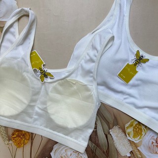 Aola29 Áo lót học sinh nữ từ 35-40kg có mút ngực thun lạnh sọc mềm hàng Việt Nam