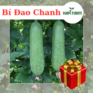 Hạt giống bí đao chanh, gói 0.2gr, f1 siêu trái