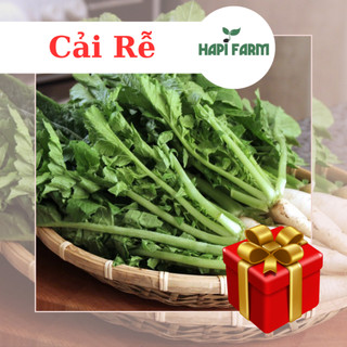 Hạt Giống Rau Cải Rễ củ cải ăn lá