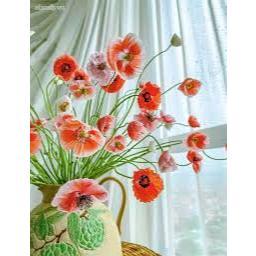 Hạt giống hoa poppy