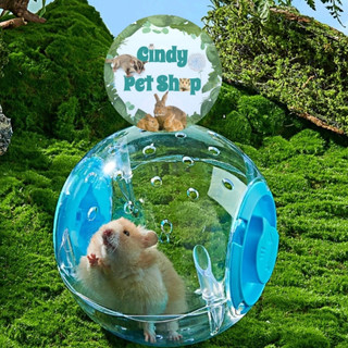 Banh chạy trong nhà mica trong suốt cho Hamster, Sóc Bay, Sóc Bông, Sóc Đất, Dumbo Rat...