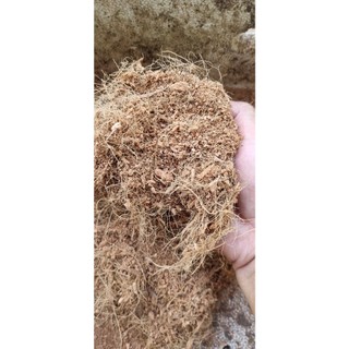 Sơ dừa - xơ dừa -mụn xơ dừa khô - giá thể - combo 1kg