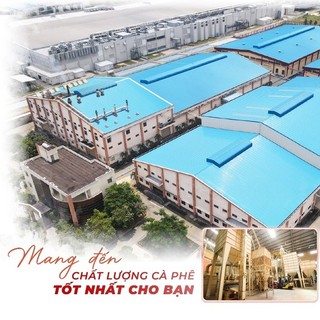 500G cà phê pha phin Chồn Buôn Mê Thuột