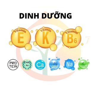 500G Hạt điều rang muối nguyên lụa BÌnh Phước