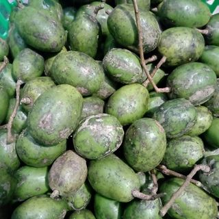 sỉ 3kg Cóc Non - Cóc Thái - Trộn Tré - Trộn Chân gà