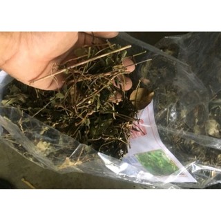 500g Chè vằng sẻ lợi sữa, thơm sạch, mới