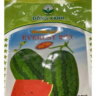 Hạt giống dưa hấu lai f1 đồng xanh everest 269