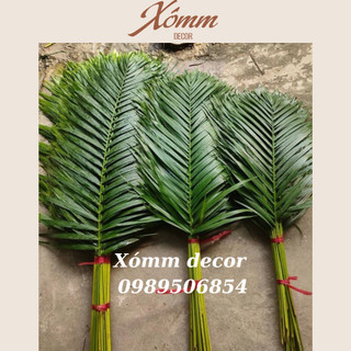 Lá mây cắm hoa , trang trí decor