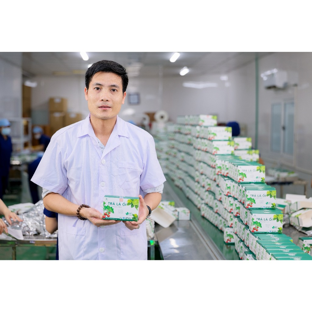 Trà Lá Ổi Túi Lọc MYCHI - Tan mỡ giảm cân, ngừa tiểu đường, hỗ trợ tiêu hoá, tốt cho dạ dày - YNOVA | BigBuy360 - bigbuy360.vn