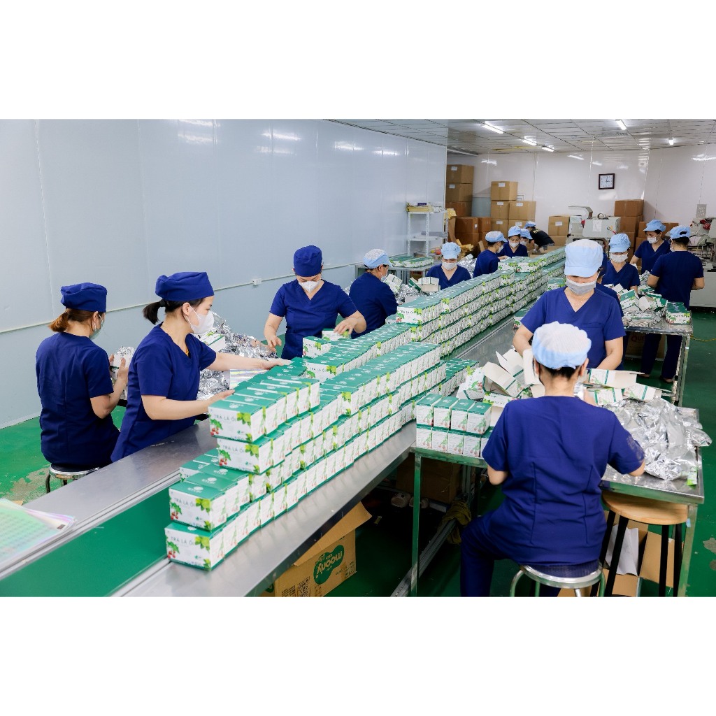 Trà Lá Ổi Túi Lọc MYCHI - Tan mỡ giảm cân, ngừa tiểu đường, hỗ trợ tiêu hoá, tốt cho dạ dày - YNOVA | BigBuy360 - bigbuy360.vn