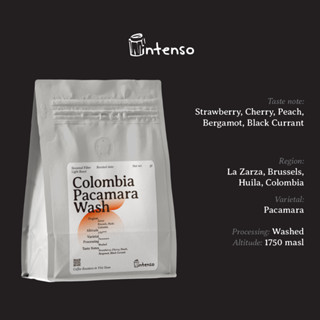 Cà Phê Đặc Sản - Colombia Pacamara Wash - Intenso Coffee Roasters