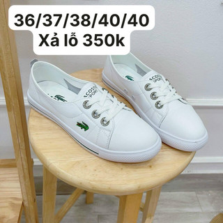 Slipon cá sấu da thật xả lỗ. Giày lười lacot nữ