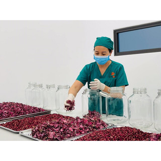 DẦU DƯỠNG TÓC HOA HỒNG ( ủ tóc )