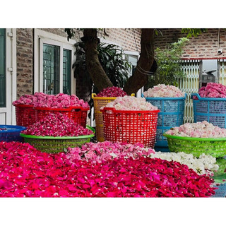 NƯỚC HOA HỒNG + MẶT NẠ date mới