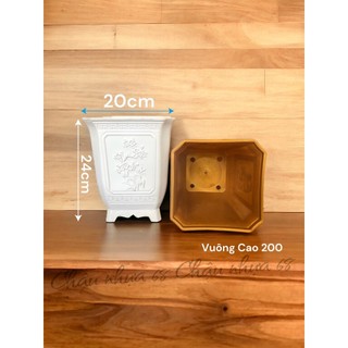 Chậu nhựa trồng cây tứ quý vuông 200 loại dày dặn