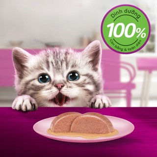 Pate Whiskas Cho Mèo Mọi Lứa Tuổi - Gói 80gr
