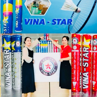 Quả cầu lông Vinastar Bạc - Hộp cầu Vinastar Bạc - Hàng phân phối chính thức - Thể thao học đương