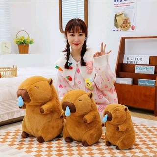 Gấu bông Capybara chảy nước mũi gấu bông có thể kéo nước mũi rút chậm (ảnh thật )