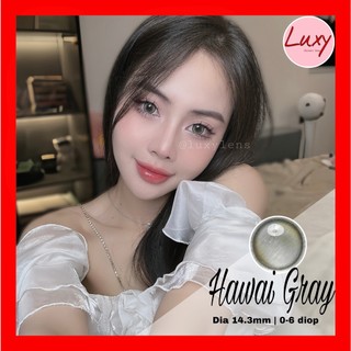  (Giá 1 chiếc) Hawai Gray LUXY LENS 14.3mm Hàn Quốc, Cam Kết Chất Lượng, Có Bảo Hành