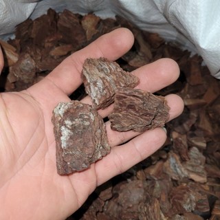 500g vỏ thông băm size 1- 2 cm