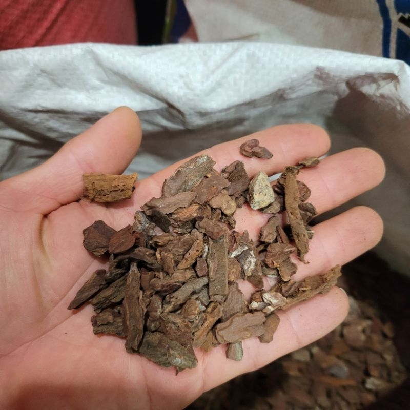 500g vỏ thông vụn size 0.5 cm