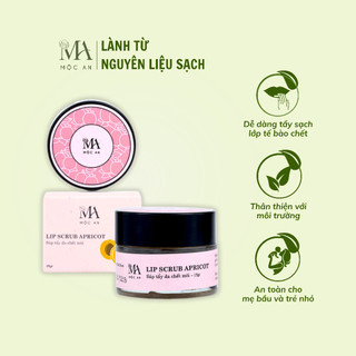Sáp Tẩy Da Chết Môi Lip Scrub Apricot - Mộc An 15gr