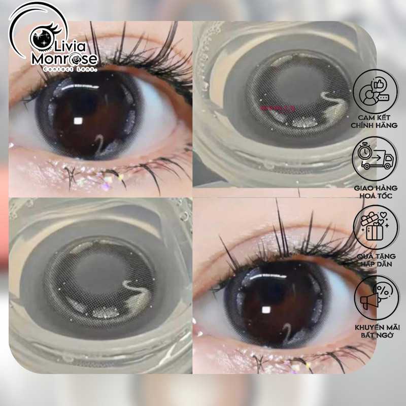 Clara Black Lens (  Có tặng khay đựng Lens )