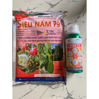 bộ đôi siêu nấm siêu khuẩn