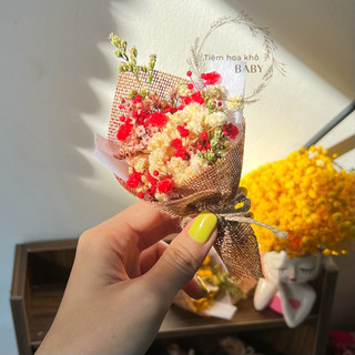  Bó hoa baby khô mini vintage đủ màu sắc quà tặng kèm dùng để decor trang trí_M82 